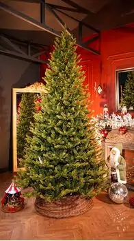Nordgran Christmas Tree Nordgran With Mixed Silicone Needle 270 CM - ნაძვის ხე შერეული სილიკონის წიწვებით, 2 image