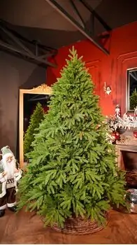 Champagne Pine Christmas Tree 210 CM  ნაძვის ხე 100 % სილიკონი, 2 image