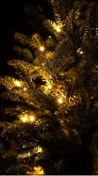 Everwyn Christmas Tree  90 CM 100% Silicone Needle With Lights - ნაძვის ხე 100% სილიკონის წიწვებით და განათებით, 17 image