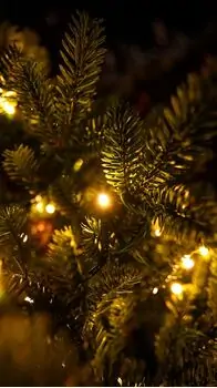 Everwyn Christmas Tree  90 CM 100% Silicone Needle With Lights - ნაძვის ხე 100% სილიკონის წიწვებით და განათებით, 16 image