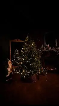 Pearl Evergreen Christmas Tree 180 CM 100% Silicone With Lights - ნაძვის ხე 100% სილიკონი, განათებით, 10 image