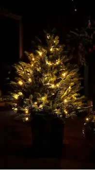 Everwyn Christmas Tree  90 CM 100% Silicone Needle With Lights - ნაძვის ხე 100% სილიკონის წიწვებით და განათებით, 14 image