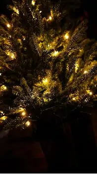 Everwyn Christmas Tree  90 CM 100% Silicone Needle With Lights - ნაძვის ხე 100% სილიკონის წიწვებით და განათებით, 18 image