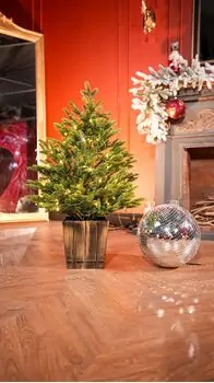 Everwyn Christmas Tree  90 CM 100% Silicone Needle With Lights - ნაძვის ხე 100% სილიკონის წიწვებით და განათებით, 2 image