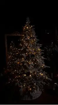 Celestine Snow-Covred Christmas Tree PE+PVC 210 CM With Mixed Silicone Needle And Lights - დათოვლილი ნაძვის ხე შერეული სილიკონის წიწვებით და განათებით, 4 image