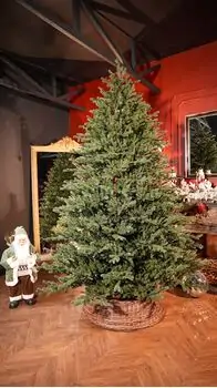 Royal Christmas Tree With Lights PE 250 CM - ნაძვის ხე 100% სილიკონის წიწვებით, 2 image