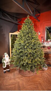 Holandiia Christmas Tree With Olive Tips PE 250 CM საახალწლო ნაძვის ხე, 100% სილიკონი, 2 image