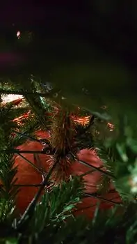 Christmas Tree 180 CM PE+PVC საახალწლო ნაძვის ხე შერეული სილიკონის წიწვებით, 9 image