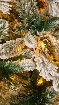 Christmas Tree With Lights 210 CM Snow-Covered საახალწლო ნაძვის ხე დათოვლილი ტოტებით და განათებით, 4 image