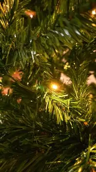 Christmas Tree 240 CM With Lights საახალწლო ნაძვის ხე განათებით, 5 image