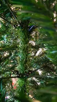 Christmas Tree 210 CM საახალწლო ნაძვის ხე, 4 image