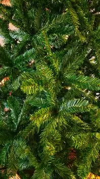 Christmas Tree 240 CM საახალწლო ნაძვის ხე, 4 image