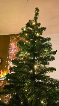 Christmas Tree 240 CM With Lights საახალწლო ნაძვის ხე განათებით, 3 image
