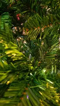 Christmas Tree 240 CM საახალწლო ნაძვის ხე, 3 image