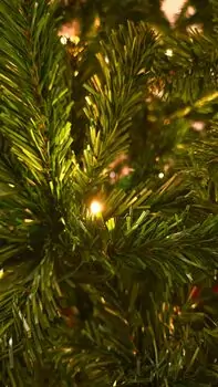 Christmas Tree 240 CM With Lights საახალწლო ნაძვის ხე განათებით, 4 image