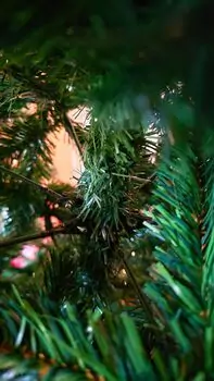 Christmas Tree 180 CM საახალწლო ნაძვის ხე, 6 image