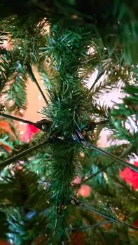 Christmas Tree 180 CM საახალწლო ნაძვის ხე, 4 image