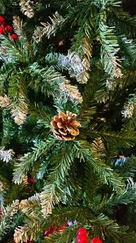 Christmas Tree 240 CM With Snow-Covered Branches, Pine Cones And Berries - ნაძვის ხე დათოვლილი ბოლოებით, გირჩით და კენკრით, 6 image