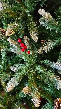Christmas Tree 240 CM With Snow-Covered Branches, Pine Cones And Berries - ნაძვის ხე დათოვლილი ბოლოებით, გირჩით და კენკრით, 5 image