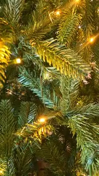 Christmas Tree With Lights 210 CM PE + PVC - ნაძვის ხე შერეული სილიკონის წიწვებით და განათებით, 10 image