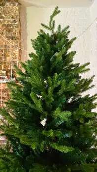 Christmas Tree 210 CM PE + PVC - ნაძვის ხე შერეული სილიკონის წიწვებით, 10 image