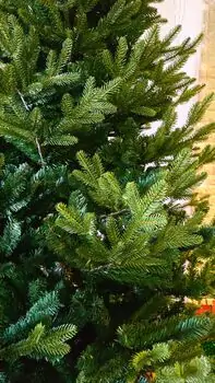 Christmas Tree 210 CM PE + PVC - ნაძვის ხე შერეული სილიკონის წიწვებით, 8 image