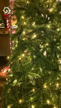 Christmas Tree 240 CM With Lights - ნაძვის ხე განათებით, 3 image
