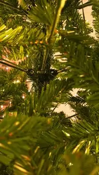 Christmas Tree 240 CM With Lights - ნაძვის ხე განათებით, 8 image