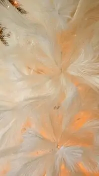 Beige Feather Christmas Tree 210 CM - ნაძვის ხე ბუმბულის წიწვებით, 4 image