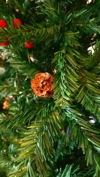 Christmas Tree 240 CM With Pine Cones And Berries - საახალწლო ნაძვის ხე გირჩით და კენკრით, 7 image