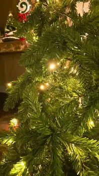 Christmas Tree 240 CM With Lights - ნაძვის ხე განათებით, 4 image
