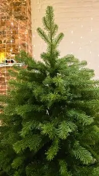 Christmas Tree PE 180 CM - საახალწლო ნაძვის ხე 100 % სილიკონი, 4 image