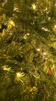 Christmas Tree 240 CM With Lights - ნაძვის ხე განათებით, 6 image