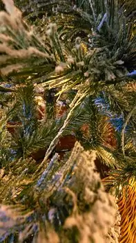Christmas Tree With Lights 210 CM PE + PVC Snow-Covered - ნაძვის ხე, დათოვლილი, შერეული სილიკონის წიწვებით და განათებით, 11 image
