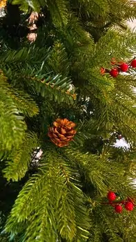Christmas Tree  210 CM With Pine Cones And Berries PE + PVC ნაძვის ხე შერეული სილიკონის წიწვებით, გირჩით და კენკრით, 13 image