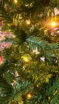 Christmas Tree 200 CM With Lights - ნაძვის ხე განათებით, 5 image
