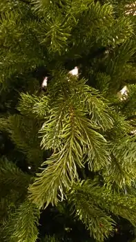 Christmas Tree PE 180 CM - საახალწლო ნაძვის ხე 100 % სილიკონი, 6 image