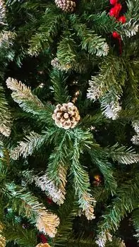 Christmas Tree 240 CM With Snow-Covered Branches, Pine Cones And Berries - ნაძვის ხე დათოვლილი ბოლოებით, გირჩით და კენკრით, 4 image