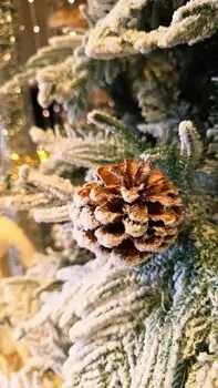 Christmas Tree 180 CM With Pine Cones And Snow-Covered დათოვლილი ნაძვის ხე შერეული სილიკონის ტოტებით და გირჩით, 6 image