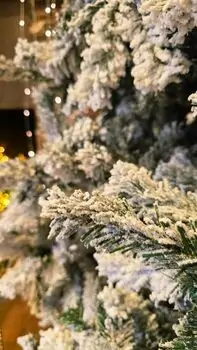 Christmas Tree 240 CM Snow-Covered - საახალწლო ნაძვის ხე დათოვლილი ტოტებით, 5 image