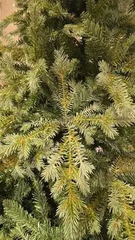 Christmas Tree PE + PVC 210 CM Light Green - საახალწლო ნაძვის ხე შერეული სილიკონის წიწვებით, 9 image