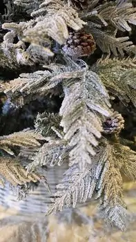 Christmas Tree 240 CM Snow-Covered საახალწლო ნაძვის ხე დათოვლილი ტოტებით, 6 image