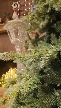 Christmas Tree PE + PVC 210 CM Light Green - საახალწლო ნაძვის ხე შერეული სილიკონის წიწვებით, 6 image