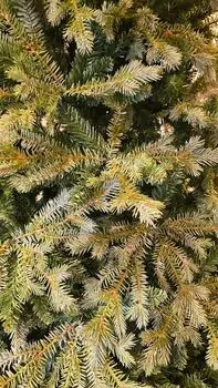 Christmas Tree PE + PVC 240 CM Light Green - საახალწლო ნაძვის ხე შერეული სილიკონის წიწვებით, 6 image
