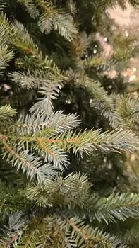 Christmas Tree PE + PVC 210 CM Light Green - საახალწლო ნაძვის ხე შერეული სილიკონის წიწვებით, 7 image