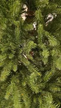 Christmas Tree PE 210 CM Light Green - საახალწლო ნაძვის ხე 100 % სილიკონი, 7 image