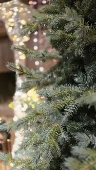 Christmas Tree PE + PVC 180 CM Light Green - საახალწლო ნაძვის ხე შერეული სილიკონის წიწვებით, 7 image