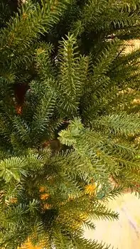 Christmas Tree PE 180 CM Light Green - საახალწლო ნაძვის ხე 100 % სილიკონი, 6 image