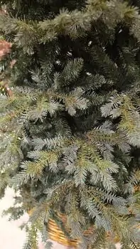 Christmas Tree PE + PVC 180 CM Light Green - საახალწლო ნაძვის ხე შერეული სილიკონის წიწვებით, 3 image