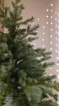 Christmas Tree PE + PVC 180 CM Light Green - საახალწლო ნაძვის ხე შერეული სილიკონის წიწვებით, 4 image